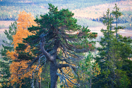 Enlarge photo 89