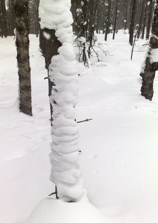 Enlarge photo 61