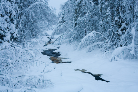 Enlarge photo 72