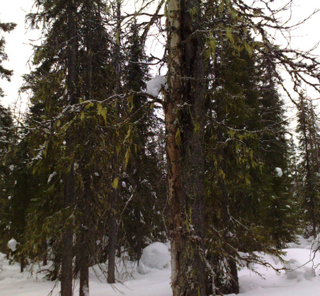 Enlarge photo 60