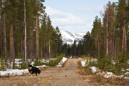 Enlarge photo 16