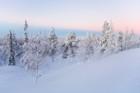 Enlarge photo 74