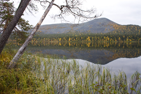 Enlarge photo 28