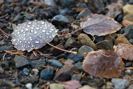 Enlarge photo 44
