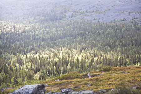 Enlarge photo 12