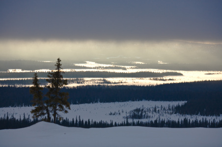 Enlarge photo 27