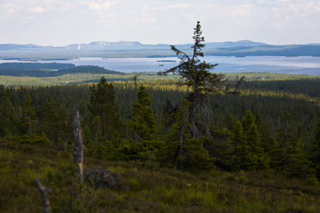 Enlarge photo 21