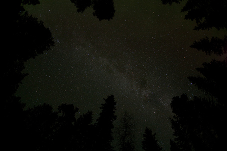 Enlarge photo 22