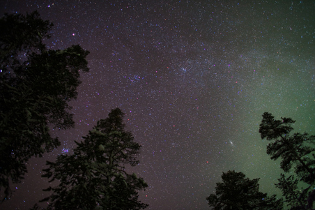Enlarge photo 16