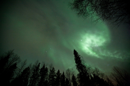 Enlarge photo 10