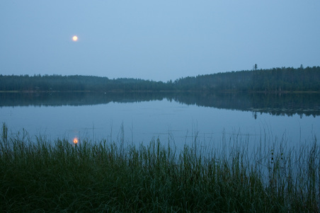 Enlarge photo 14
