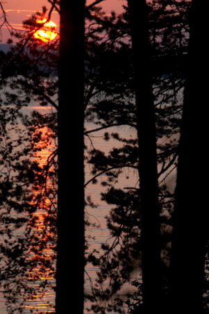 Enlarge photo 16