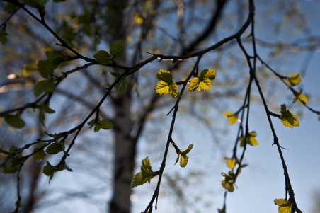 Enlarge photo 6