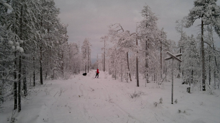 Enlarge photo 4