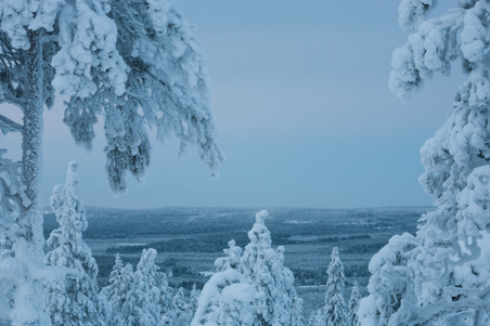 Enlarge photo 19