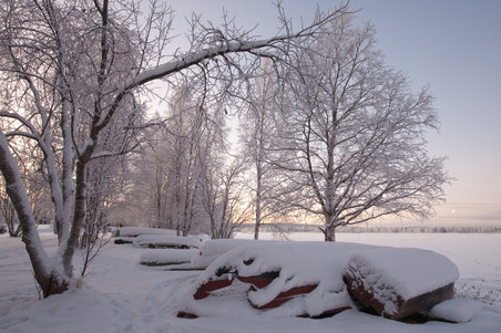 Enlarge photo 22