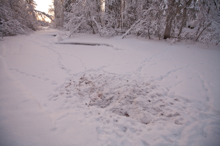 Enlarge photo 23