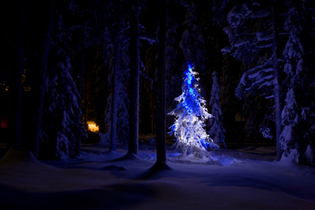 Enlarge photo 8