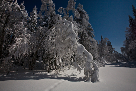 Enlarge photo 13