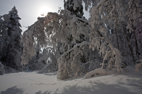 Enlarge photo 4