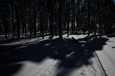 Enlarge photo 9