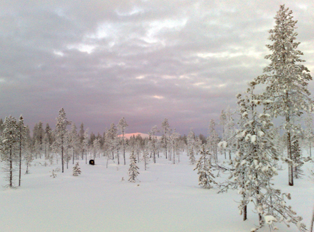 Enlarge photo 3