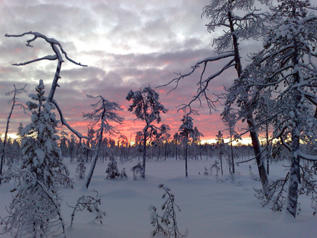 Enlarge photo 1
