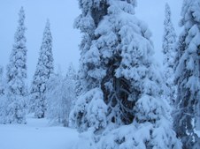 Enlarge photo 6