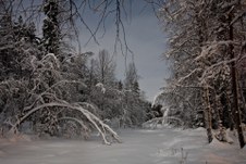 Enlarge photo 5