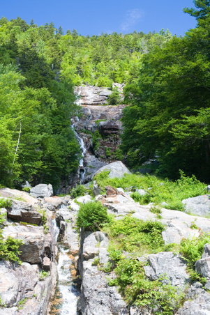 Enlarge photo 3