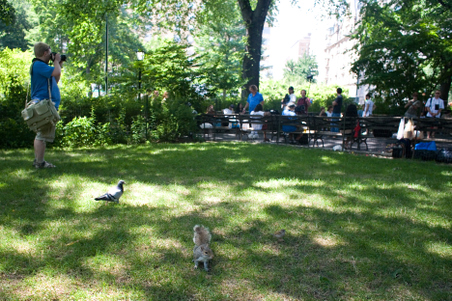 Enlarge photo 22