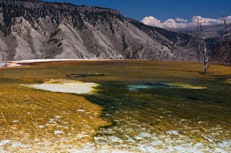 Enlarge photo 37