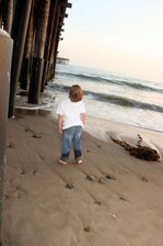 Enlarge photo 87