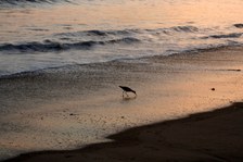 Enlarge photo 95