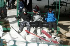 Enlarge photo 352