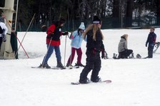 Enlarge photo 286