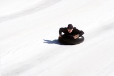 Enlarge photo 242
