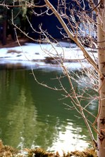 Enlarge photo 100