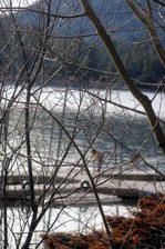 Enlarge photo 105