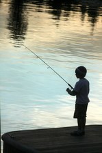 Enlarge photo 118