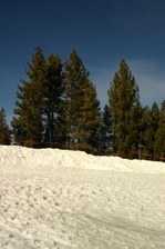 Enlarge photo 173
