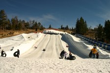 Enlarge photo 177
