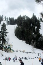 Enlarge photo 182