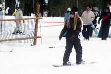 Enlarge photo 329