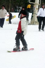 Enlarge photo 331