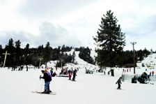 Enlarge photo 205