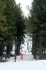Enlarge photo 349