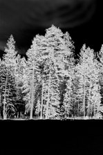 Enlarge photo 360