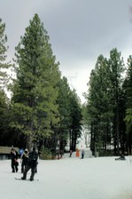Enlarge photo 362