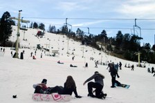 Enlarge photo 224